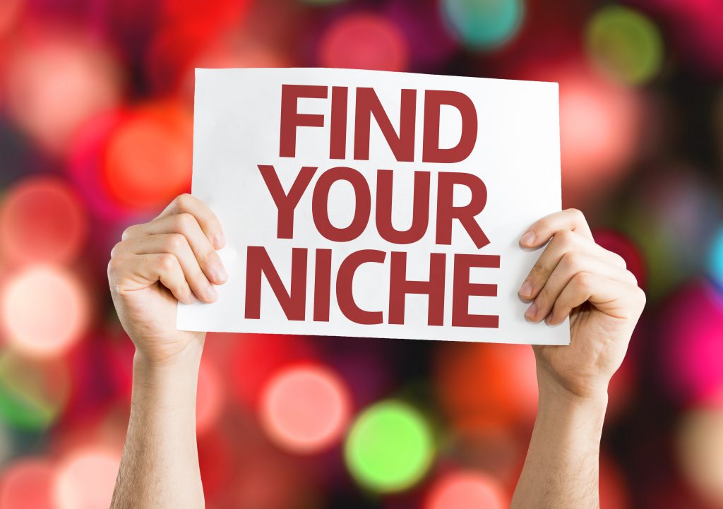 how to choose a blog niche