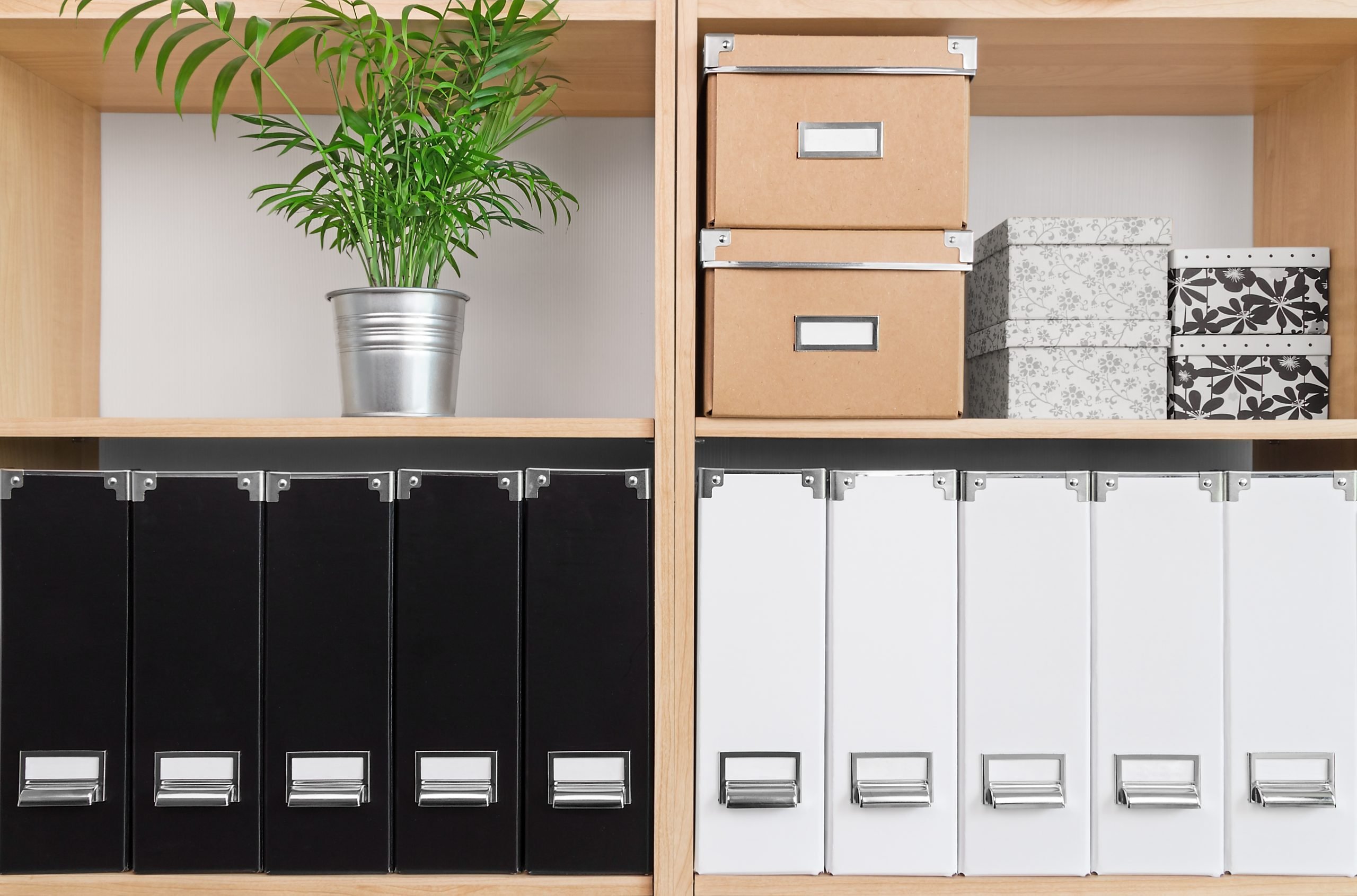 Neat and Organized Book Shelves with Boxes and Plant