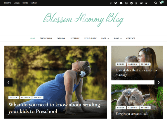 Blossom Mommy Blog