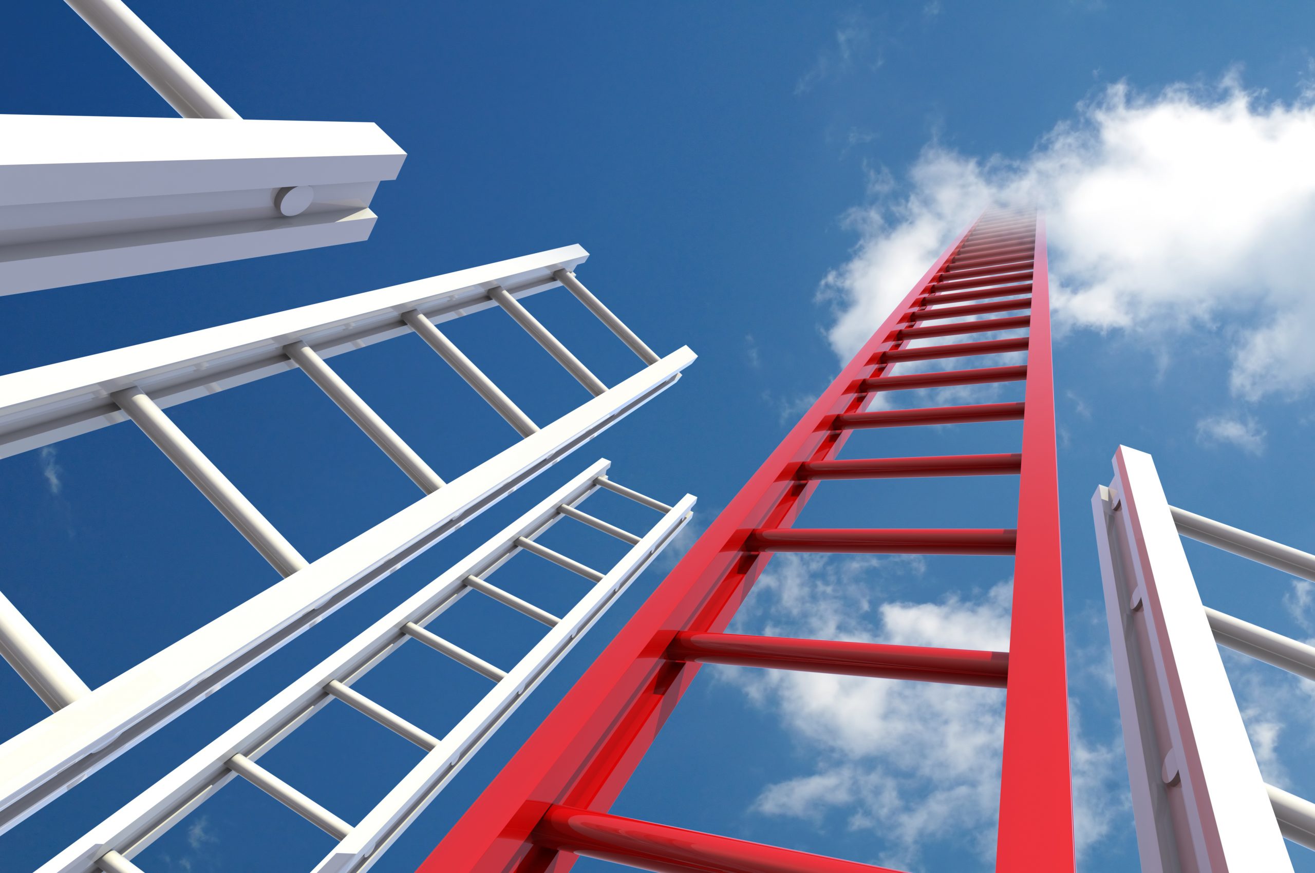Red Ladder of Success among White Ladders